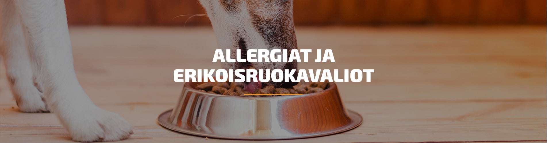 Allergiat ja erikoisruokavaliot