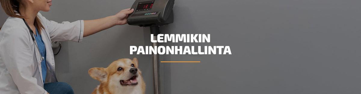 Lemmikin painonhallinta – vastauksia yleisimpiin ruokintaa koskeviin kysymyksiin