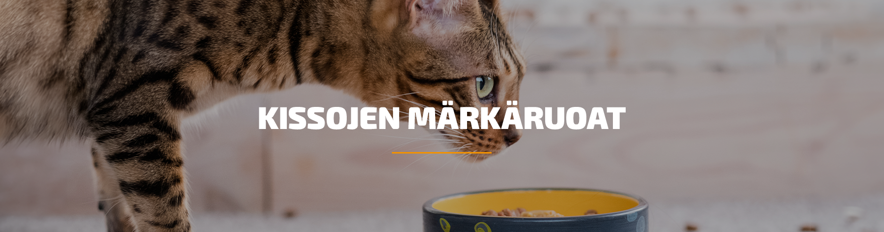 Kissojen märkäruoat