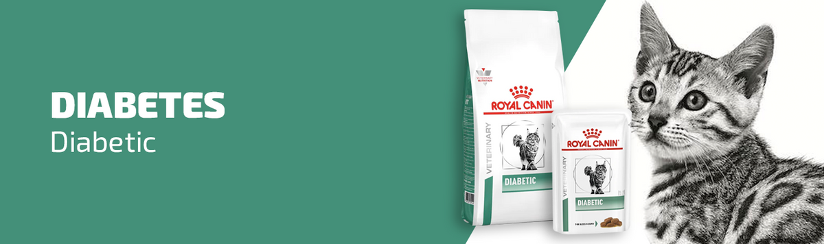 Royal Canin diabetic kissalle
