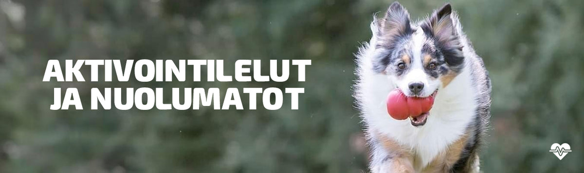 Aktivointilelut ja nuolumatot koiralle