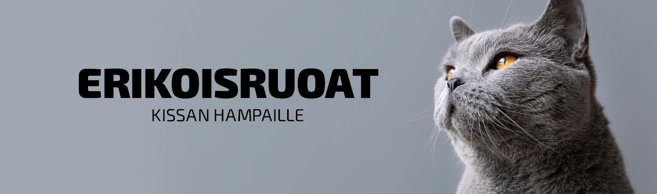 Erikoisruoat kissan hampaiden hyvinvointiin