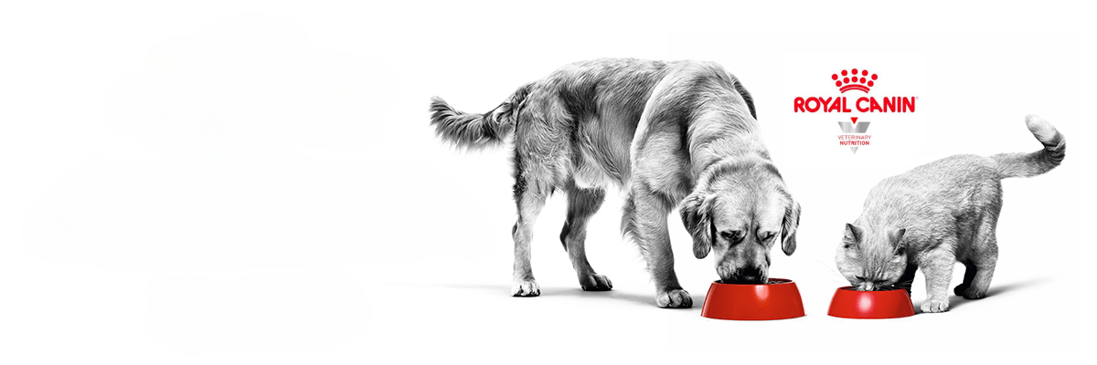 ROYAL CANIN VETERINARY