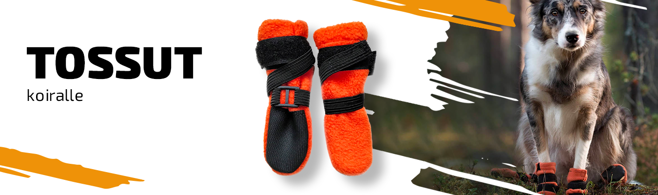 Tossut koiralle