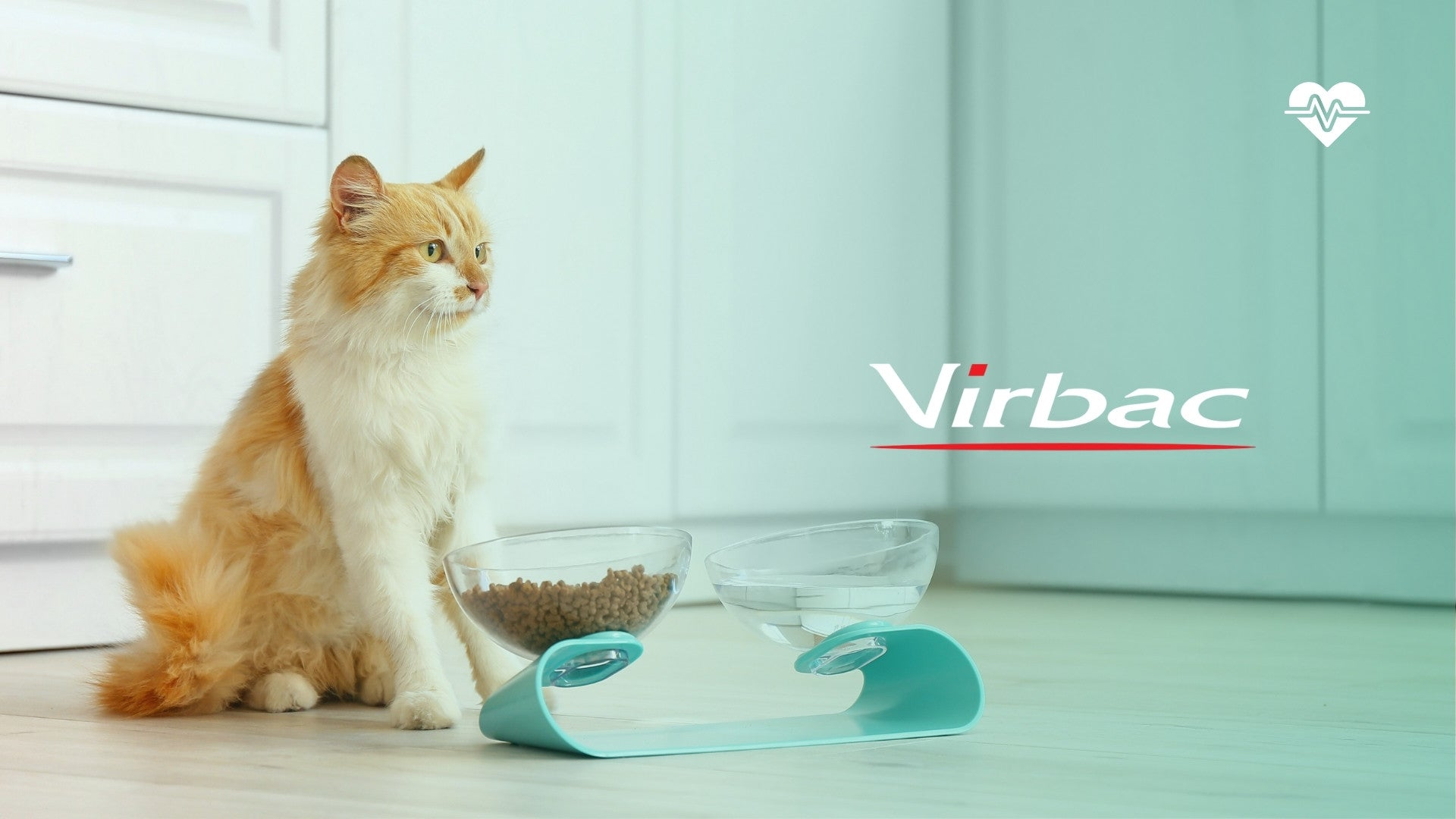 Virbac HPM Veterinary