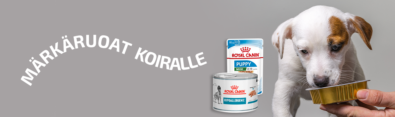 Märkäruoat Koiralle