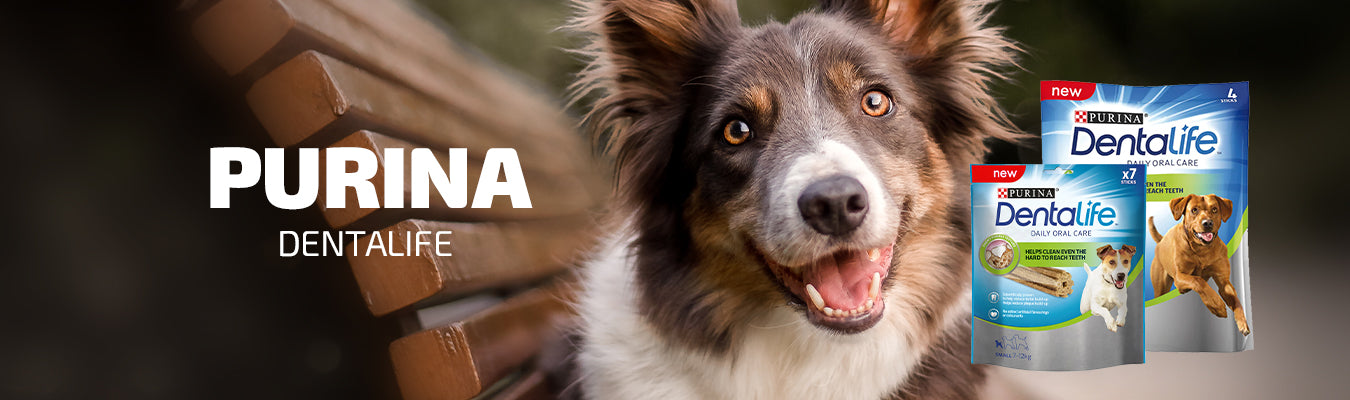 Dentalife purina koiralle