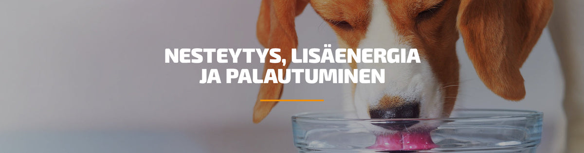 Nesteytys, lisäenergia ja palautuminen