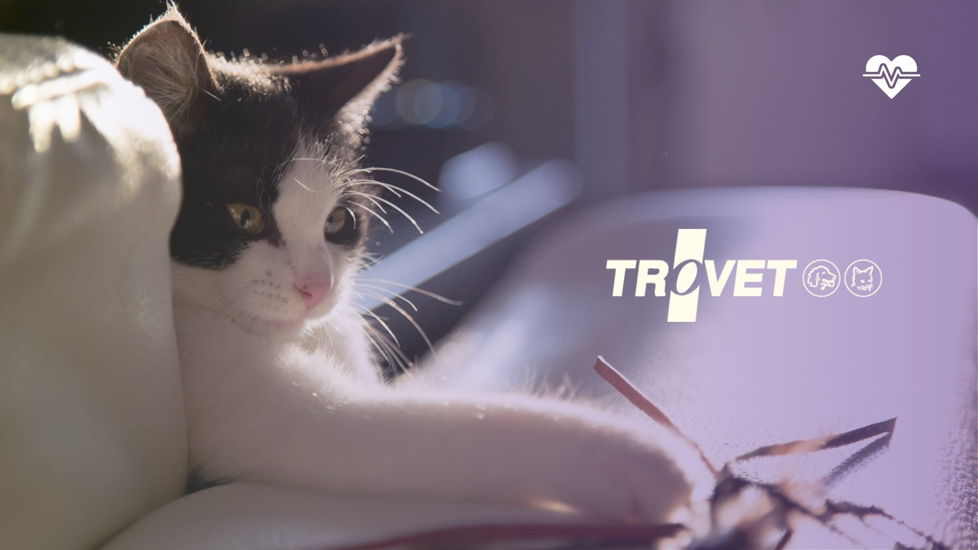 TROVET KISSALLE