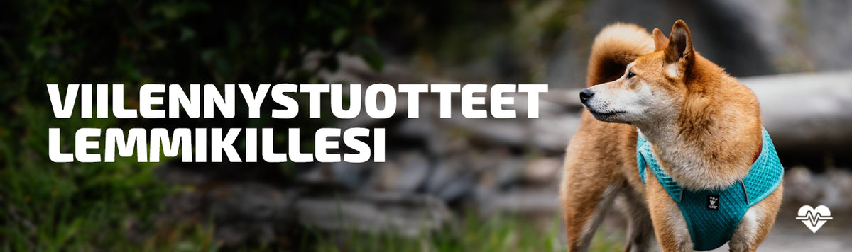 viilennystuotteet koiralle
