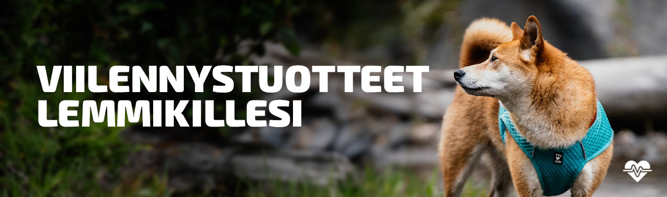 viilennystuotteet koiralle
