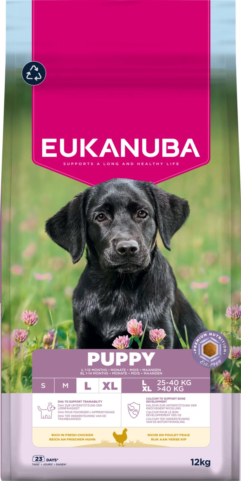 Eukanuba Puppy Large Breed koiran kuivaruoka 12 kg