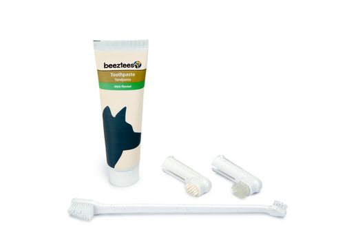 Beeztees hammasharja setti + hammastahna