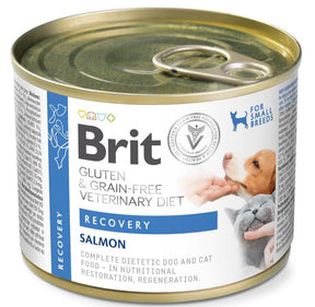 Brit Veterinary Diet Recovery Salmon märkäruoka kissalle ja koiralle 6 x 200 g
