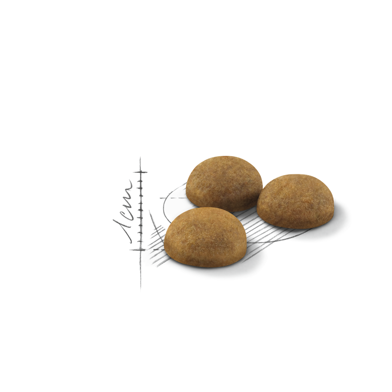 Royal Canin Indoor Long Hair kissalle