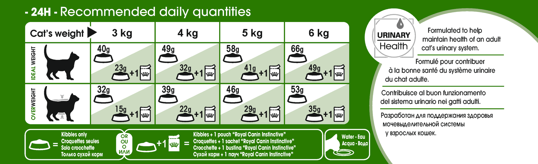 Royal Canin Outdoor 7+ kissalle