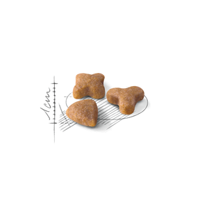 Royal Canin Sensible kissalle 2 kg