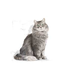Royal Canin Sensible kissalle