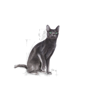 Royal Canin Sterilised kissalle 10 kg