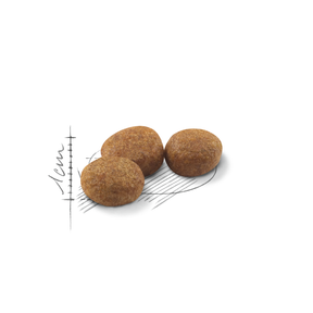 Royal Canin Sterilised kissalle 10 kg