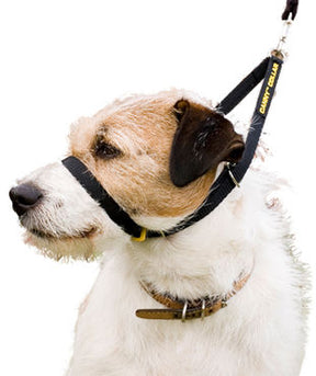 Canny Collar vedonestopanta musta 4