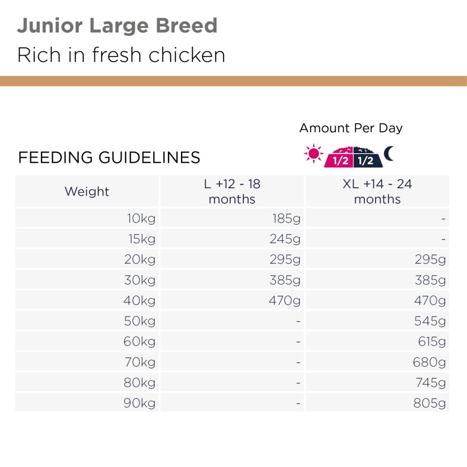 Eukanuba Junior Large Breed Chicken koiran kuivaruoka 12 kg