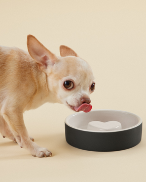 PAIKKA Slow Feed Bowl Black XS