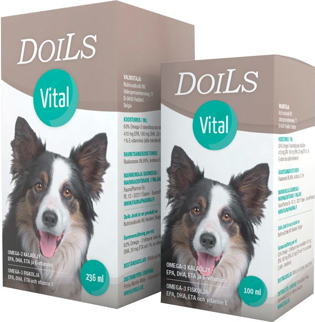 Doils Vital koiralle