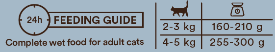 Monster Cat Adult Multi Protein Chicken-Salmon kissalle 12 x 100 g