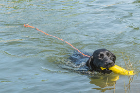 Rukka Swim leash kelluva hihna