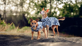 Rukka Zebra koiran viilennystakki