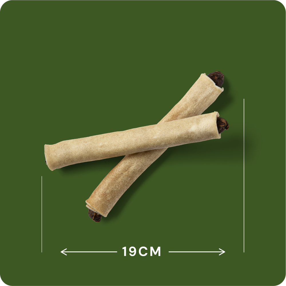 RAUH! Moose Bullet - Hirvipuruluu hirvisalamilla 50 kpl SÄÄSTÖPAKKAUS