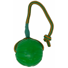 Starmark geelipallo Swing Fling Chew Ball