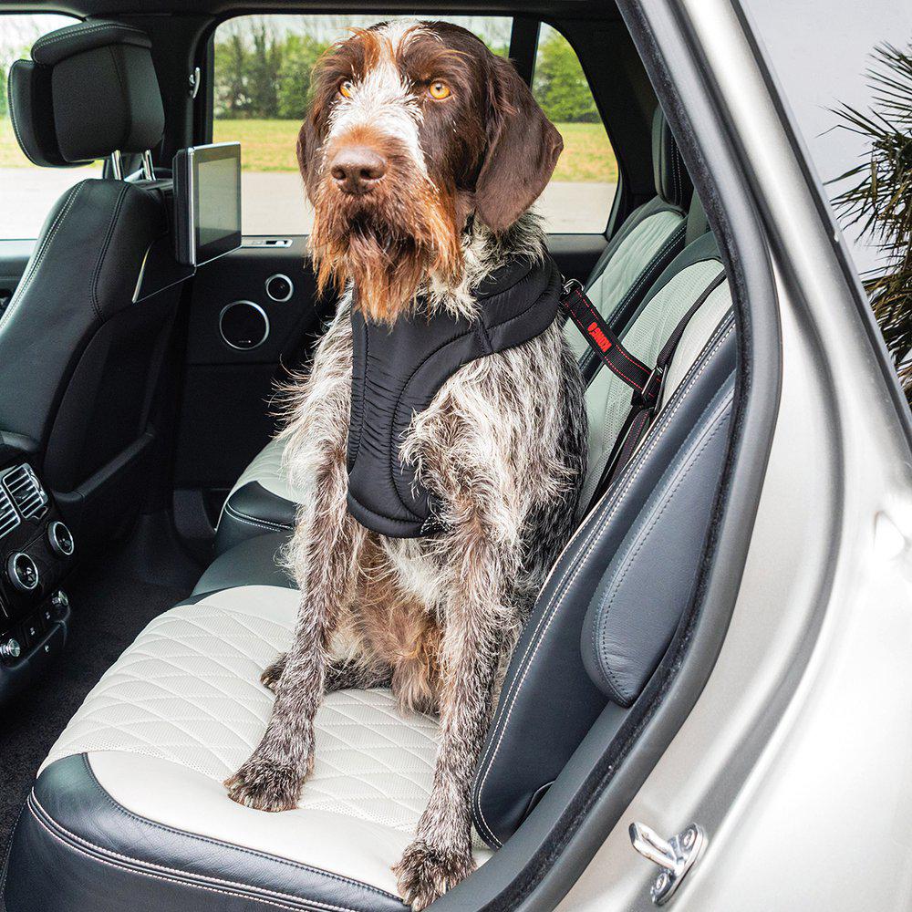 Kong Travel Ultimate Safety Tether turvavyö