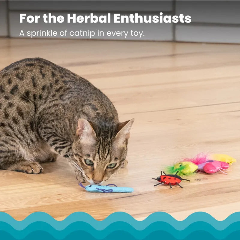 Catstages Cute As A Bug 6-pack kissanlelu