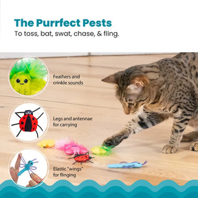 Catstages Cute As A Bug 6-pack kissanlelu