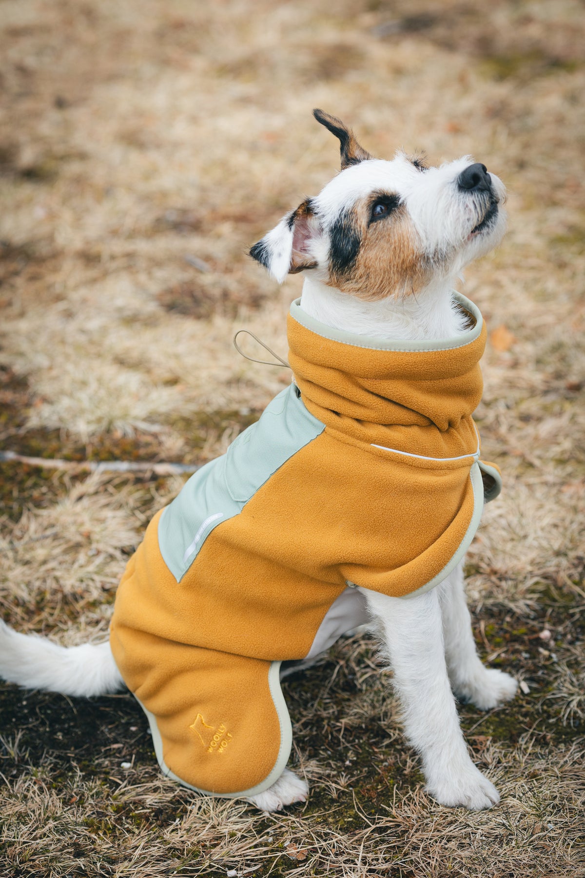 Woolly Wolf Alpha 360 koiran fleecepaita