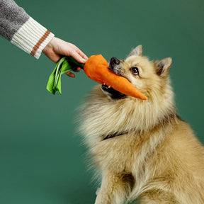 Alvar Pet Uusiolelu Pehmo