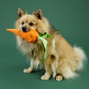 Alvar Pet Uusiolelu Pehmo