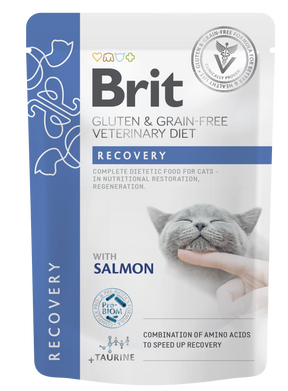 Brit Veterinary Diet Pouch Recovery with Salmon kissalle 85 g MAISTELUPAKKAUS