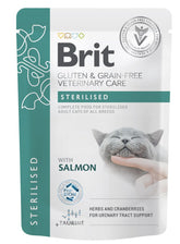 Brit Pouch Sterilised with Salmon kissalle 85 g MAISTELUPAKKAUS PÄIVÄYSTARJOUS