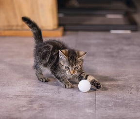 Beeztees Kissan pingispallot 4kpl