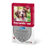Bayvantic vet 250/1250 mg 4 x 2.5 ml paikallisvaleluliuos koirille 10–25 kg