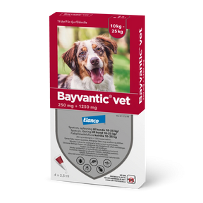 Bayvantic vet 250/1250 mg 4 x 2.5 ml paikallisvaleluliuos koirille 10–25 kg