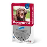 Bayvantic vet 400/2000 mg 4 x 4 ml paikallisvaleluliuos koirille 25–40 kg