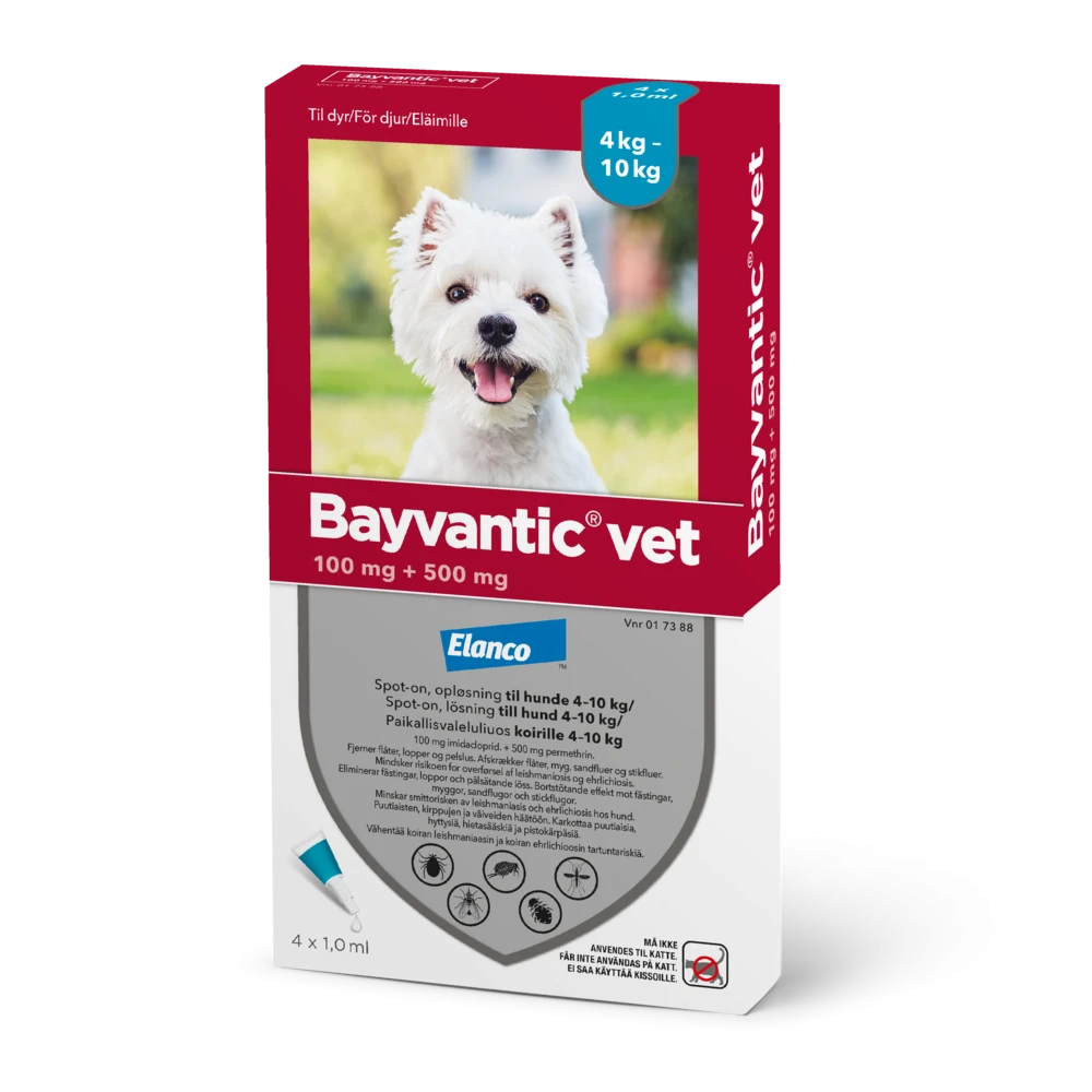 Bayvantic vet 100/500 mg 4 x 1 ml paikallisvaleluliuos koirille 4–10 kg