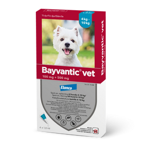 Bayvantic vet 100/500 mg 4 x 1 ml paikallisvaleluliuos koirille 4–10 kg