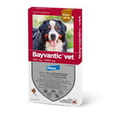 Bayvantic vet 600/3000 mg 4 kpl paikallisvaleluliuos koirille 40–60 kg