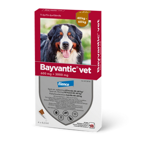 Bayvantic vet 600/3000 mg 4 kpl paikallisvaleluliuos koirille 40–60 kg