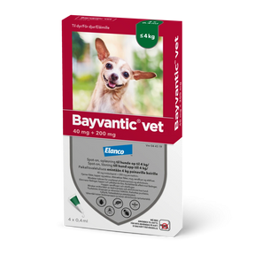 Bayvantic vet 40/200 mg 4 x 0.4 ml paikallisvaleluliuos enintään 4 kg painaville